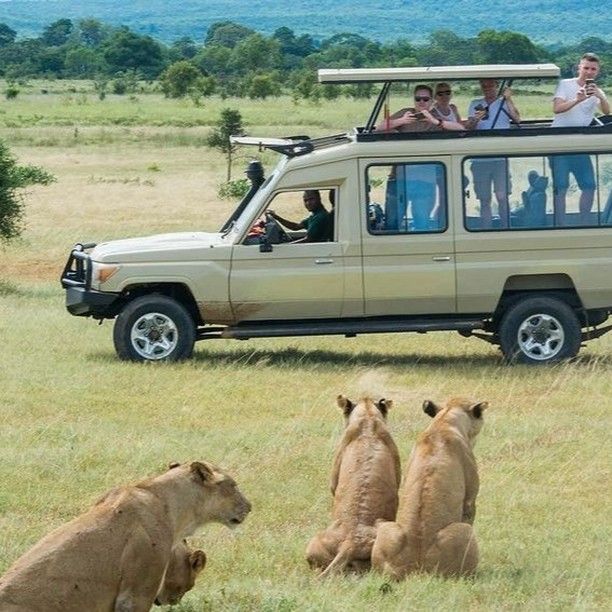 4 Days Masai Mara / Nairobi Migration Safari