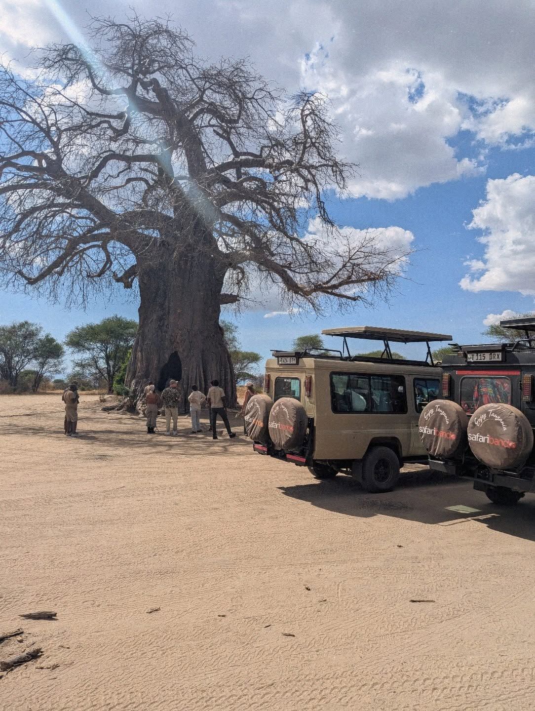 6 Days Manyara / Ngorongoro / Serengeti / Tarangire Safari
