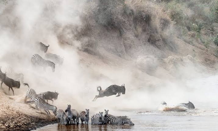 3 Days Serengeti National Park Safari